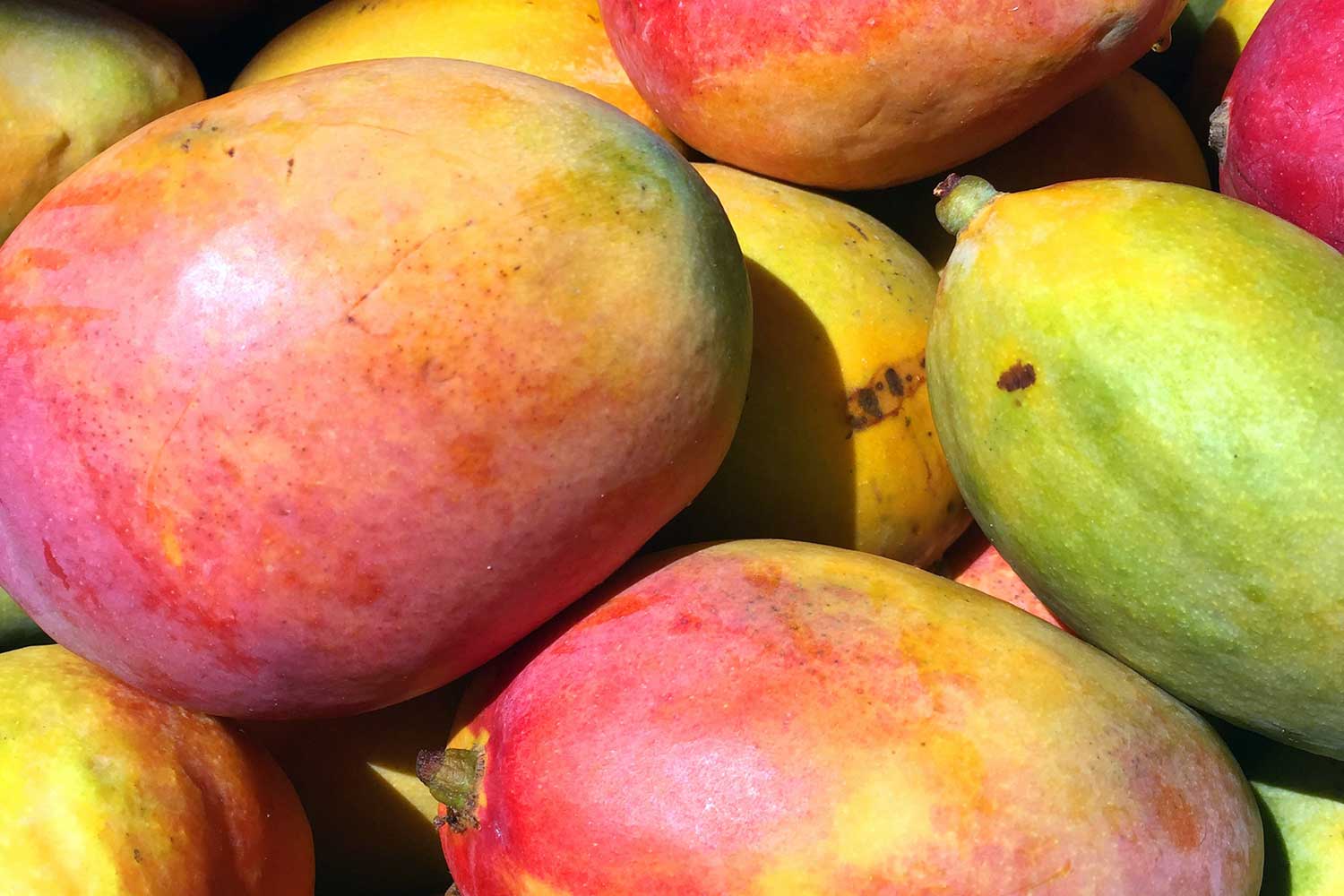 The Nutritional Benefit of Mangos - Health Beat