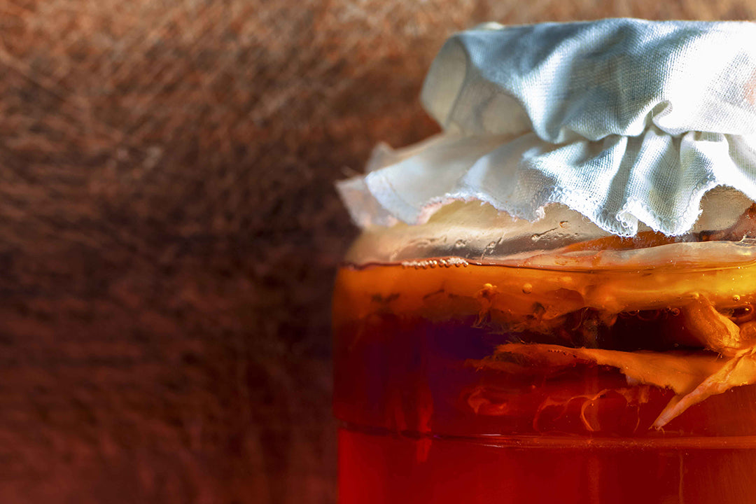 Scoby: What Is It and How Does It Work?