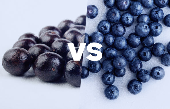 Acai Berry vs. Blueberry: The Full Breakdown of These Powerful Berries