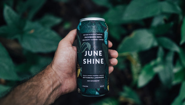 Hand holding a can of Midnight Painkiller with tropical leaves in the background